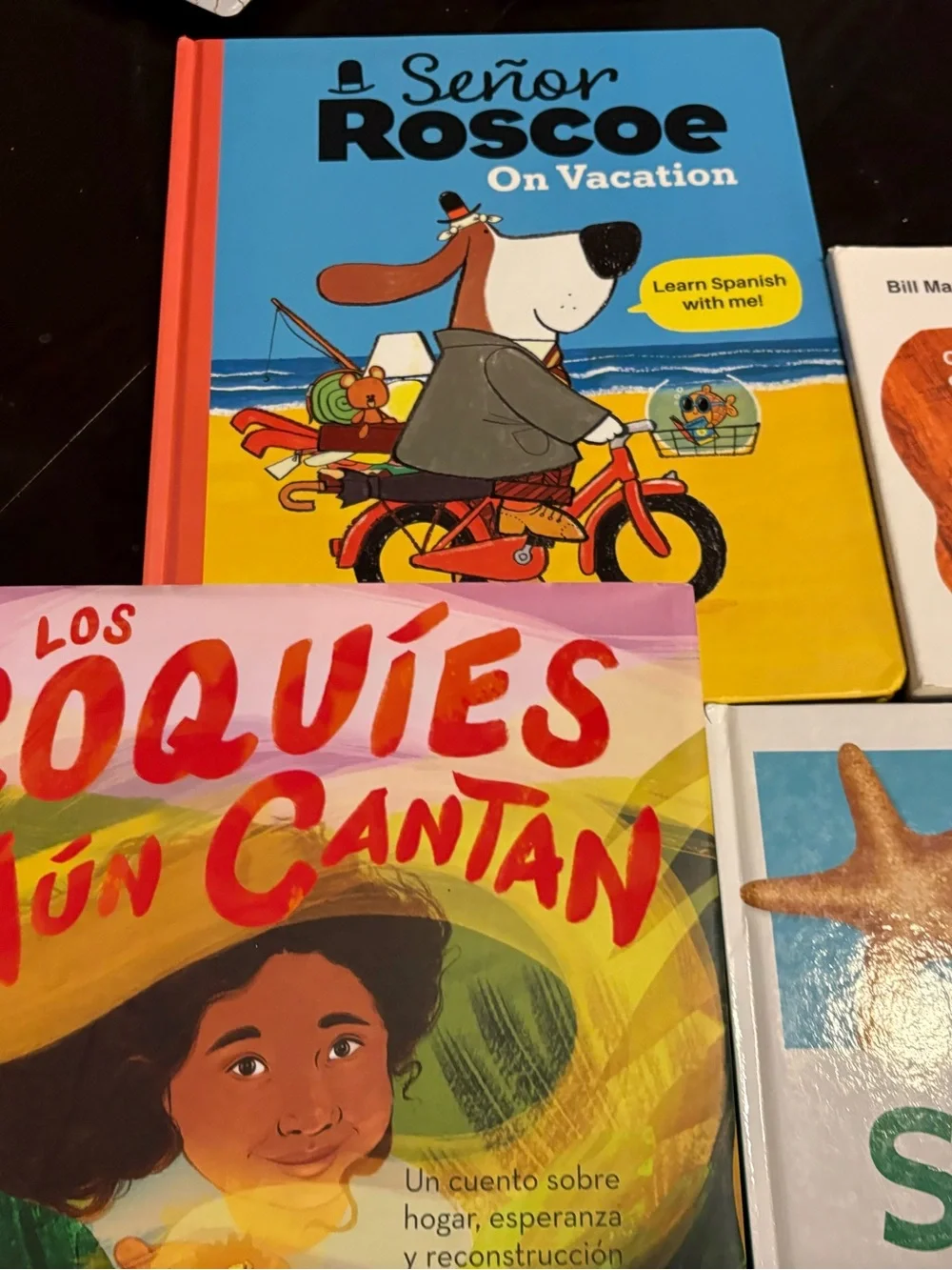 ESL Children’s Book lot, Spanish/English including Eric Carle, Various Others! - Picture 7 of 8